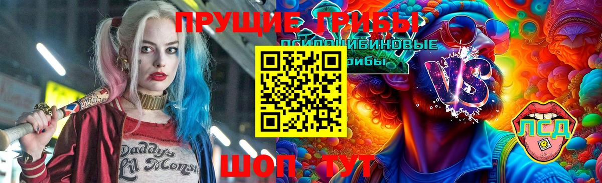 Галлюциногенные грибы Psilocybine cubensis Воскресенск